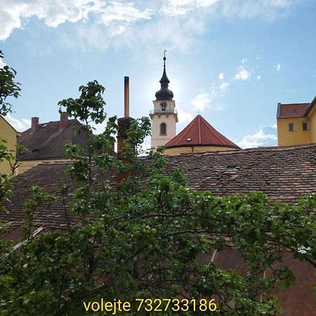 Apartman Horni Hermanuv Mestec U Chrudimi Екстер'єр фото